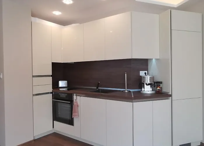 Center Lux Apartment *